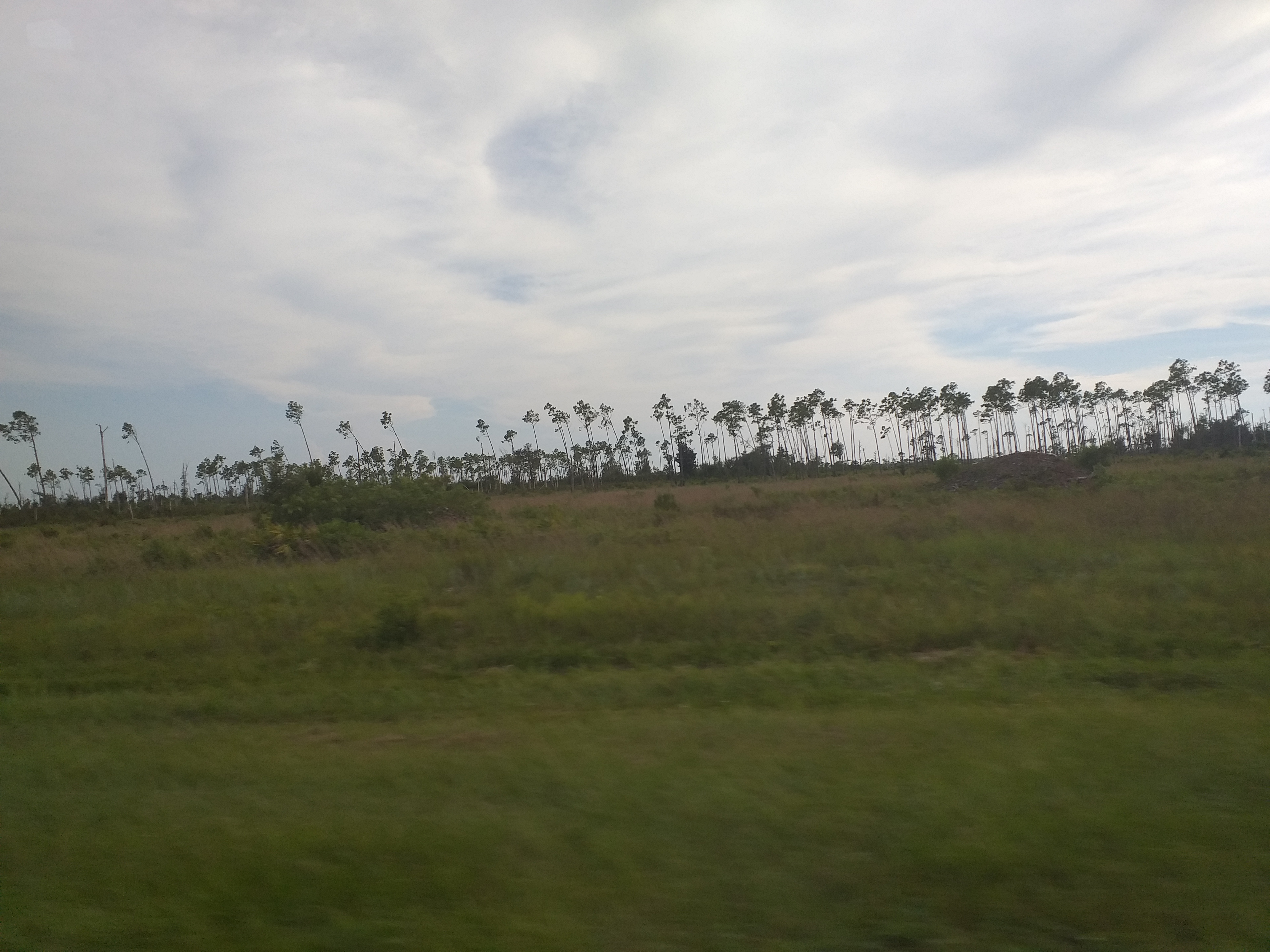 Fallen trees blocking roads after Hurricane Michael